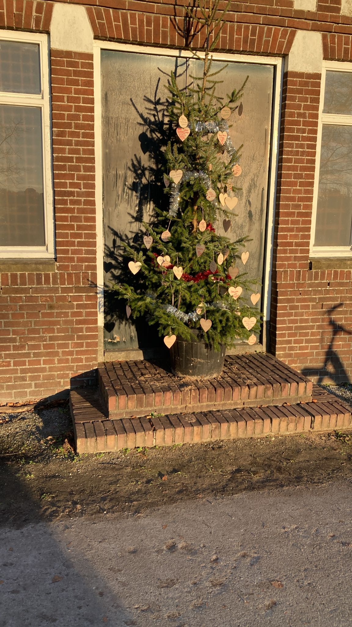 Kerstboom