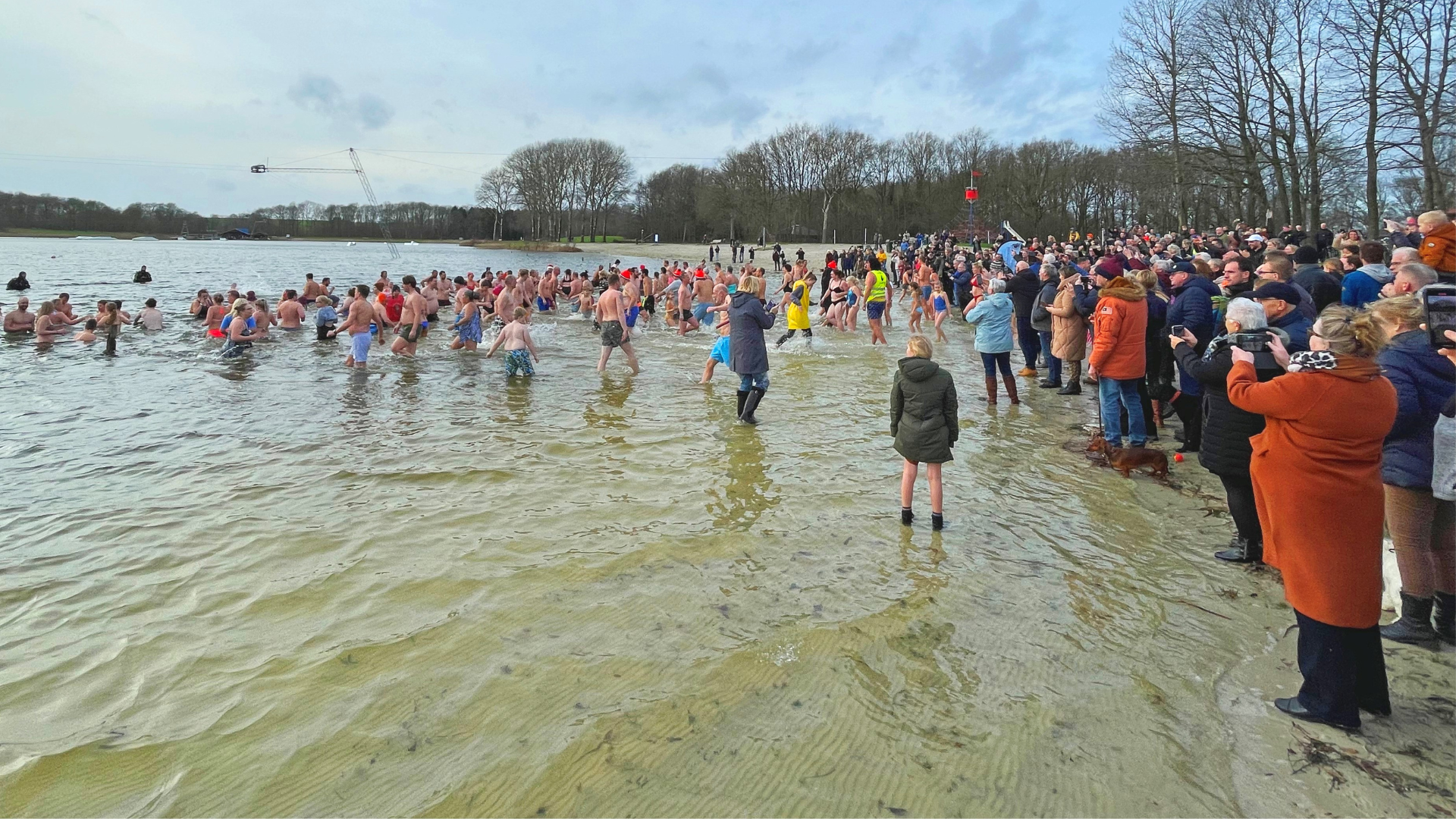 Nieuwjaarsduik