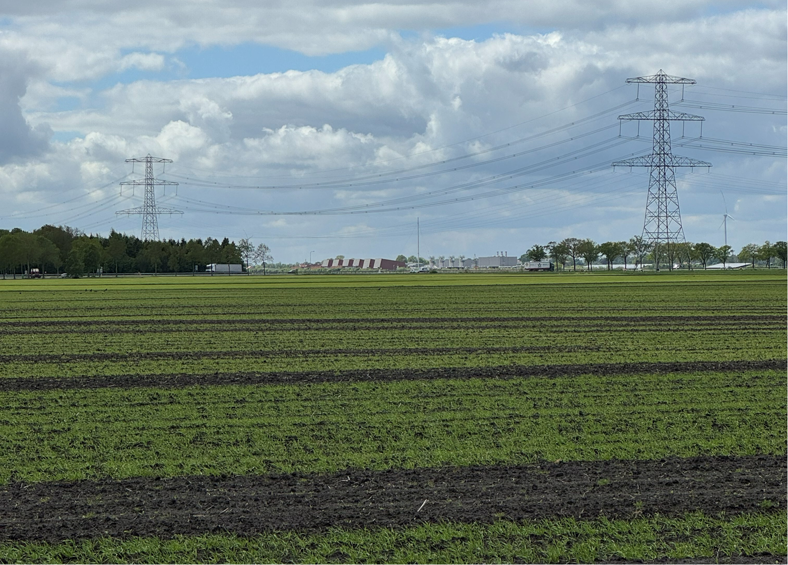Zuidwending foto