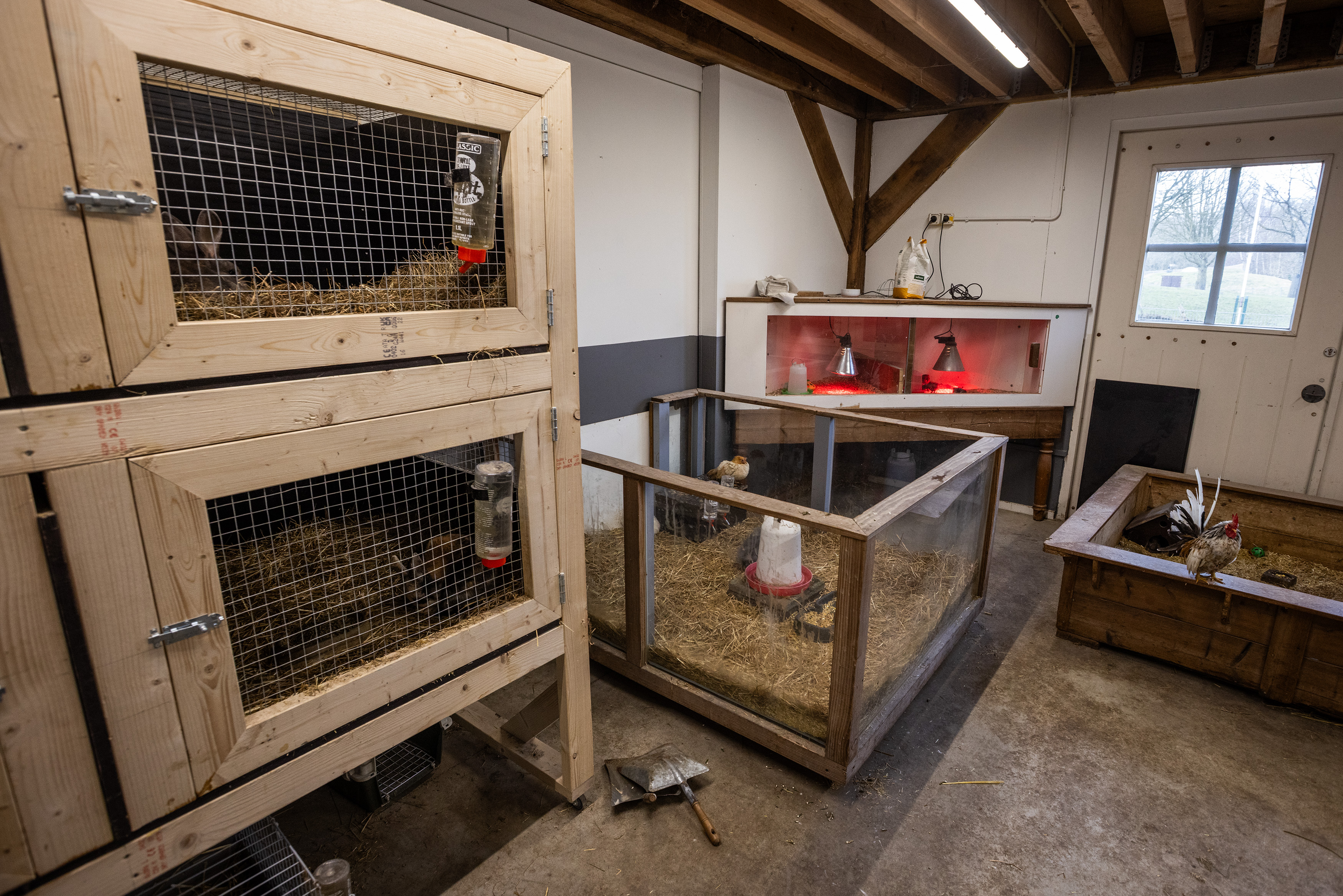 20260218KinderboerderijVeendam_08_HuismanMedia