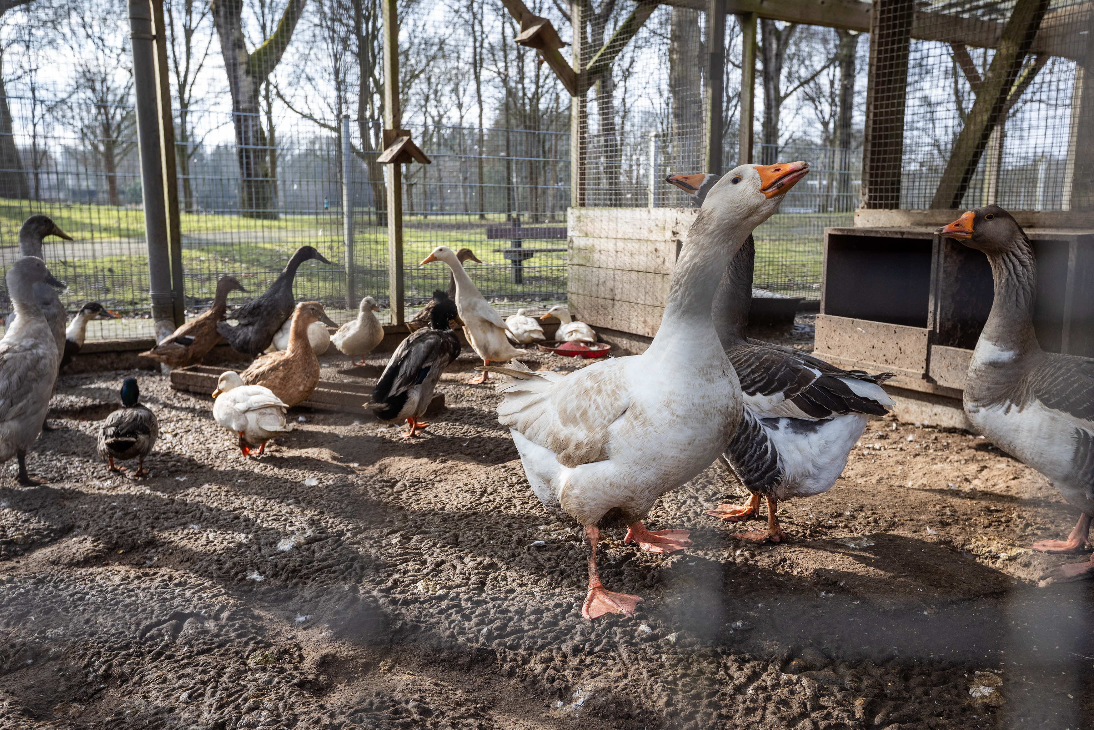 20260218KinderboerderijVeendam_15_HuismanMedia