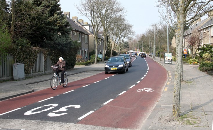 GOW30 (voorbeeld) straat met 30 km per uur op het wegdek en fietsstrook